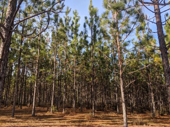 2333 Woodyard Rd, Defuniak Springs, FL 32435