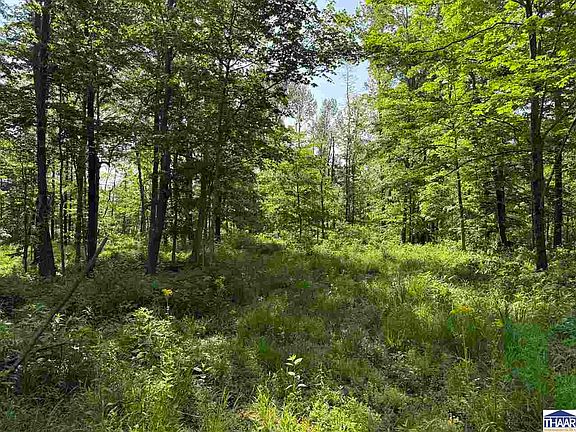 5th image of 0 County Road 1200 North Acres Lot 4