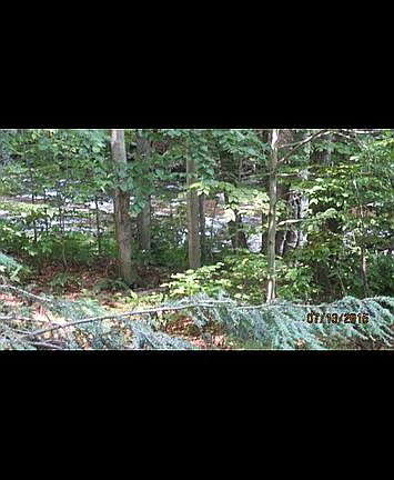 View of creek