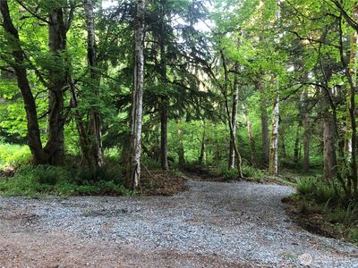 31704 Mount Tahoma Canyon Road, Ashford, WA, 98304