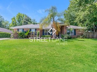 2993 Sparkleberry Dr, Middleburg, FL 32068