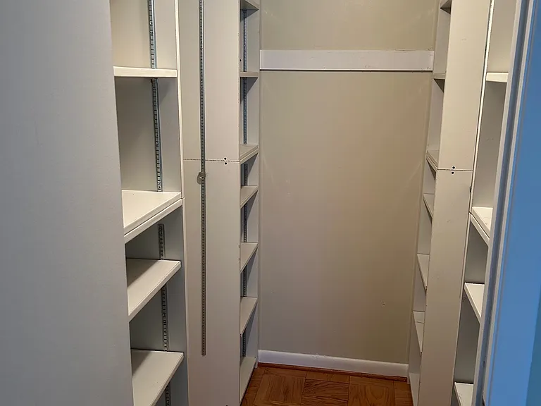 Walk in closet with built in shelves