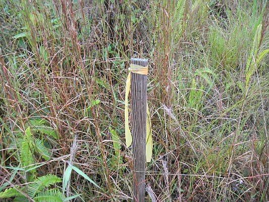 2nd image of 16-2174 Road 4 Lot 3526