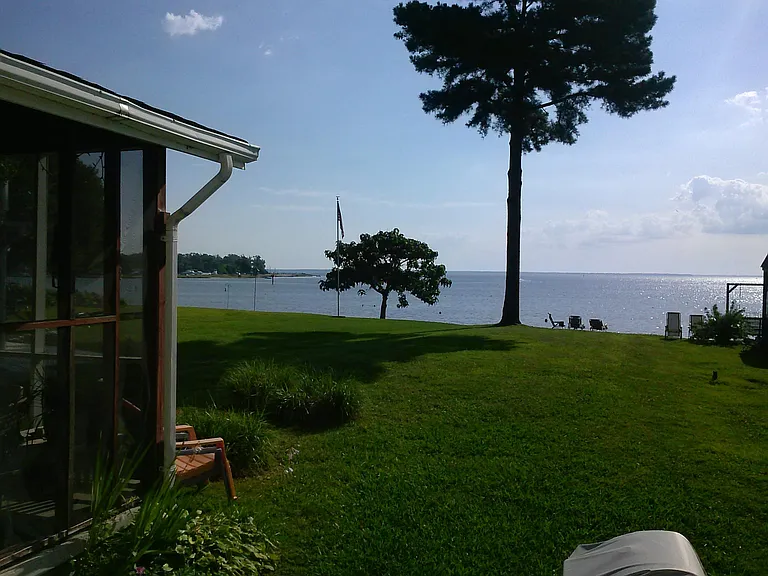 Back yard