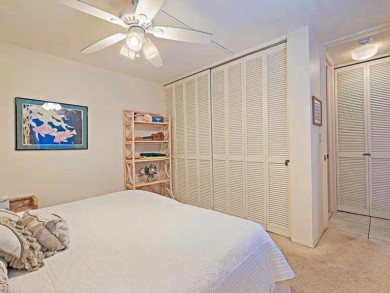 30 Hauoli St #310 — Photo 8
