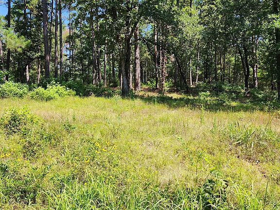 4th image of 16373 County Road 436