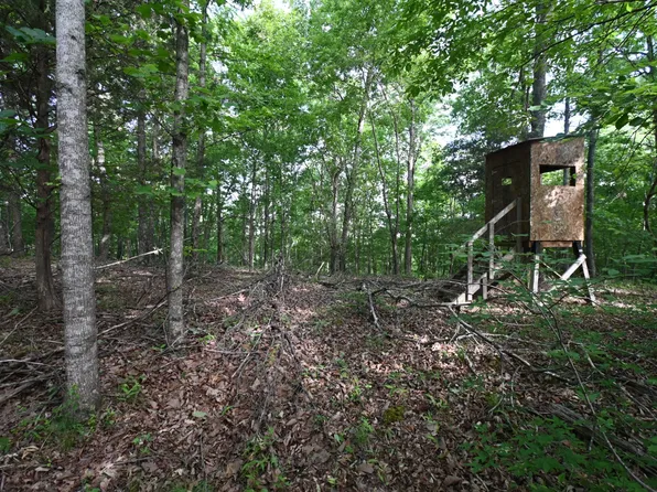 0 Lower Crooked Creek Rd, Lobelville, TN 37097