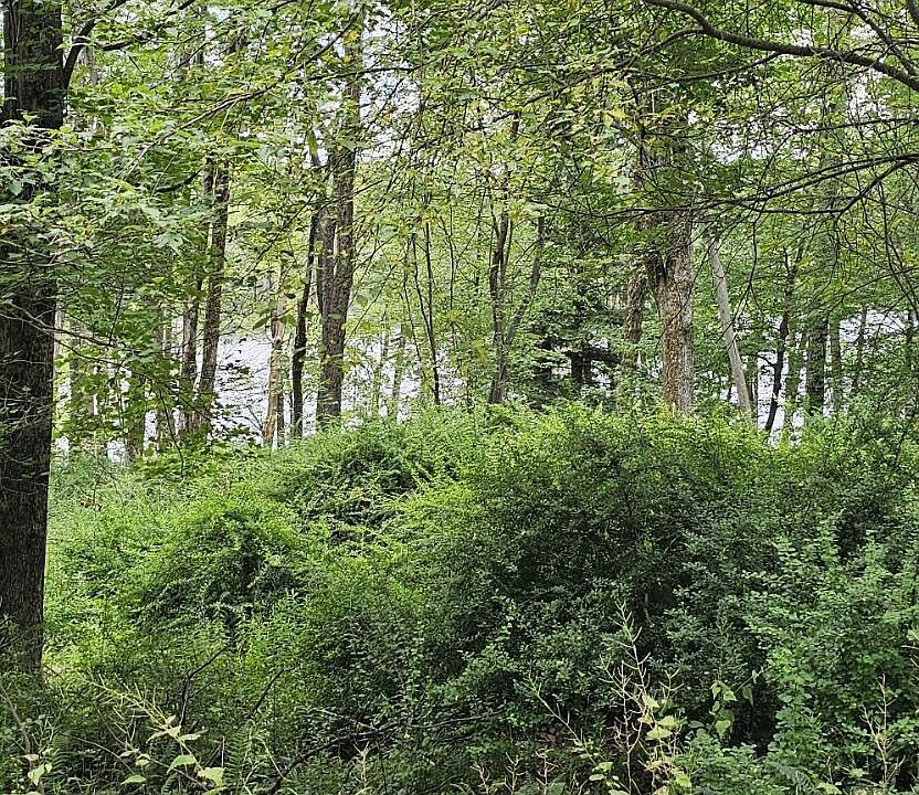 1st image of 45 Lake Russell Rd