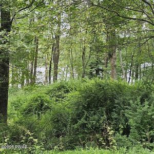 45 Lake Russell Rd, Newfoundland, PA, 18445