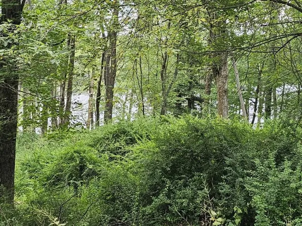 45 Lake Russell Rd, Newfoundland, PA 18445