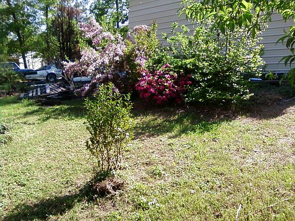 2nd image of 1262 Rosehill Dr