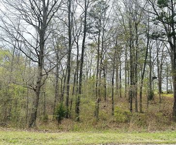 209 Blue Heron Point, Counce, TN, 38326