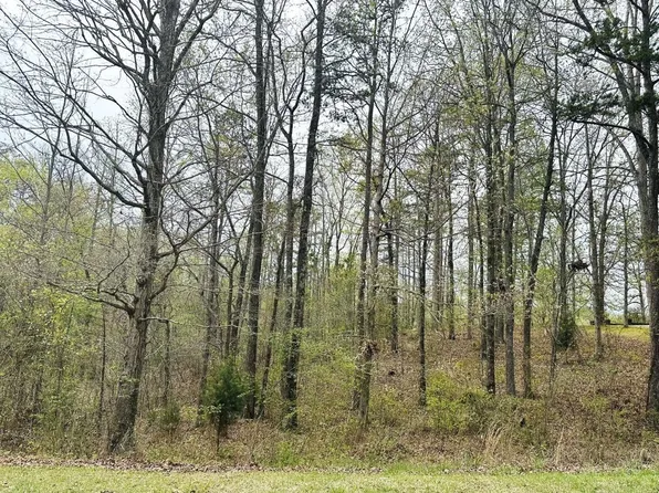 209 Blue Heron Point, Counce, TN 38326