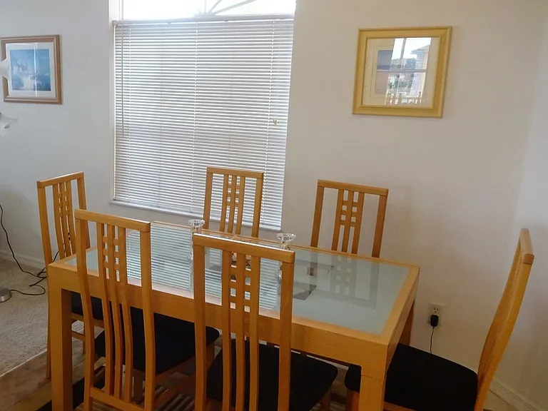 1316 Gondola Park Dr — Photo 14