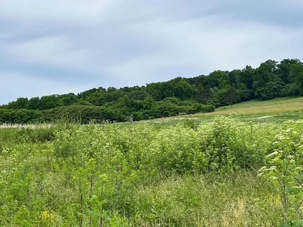 TRACT 13 Buffalo Springs Rd, Rutledge, TN 37861