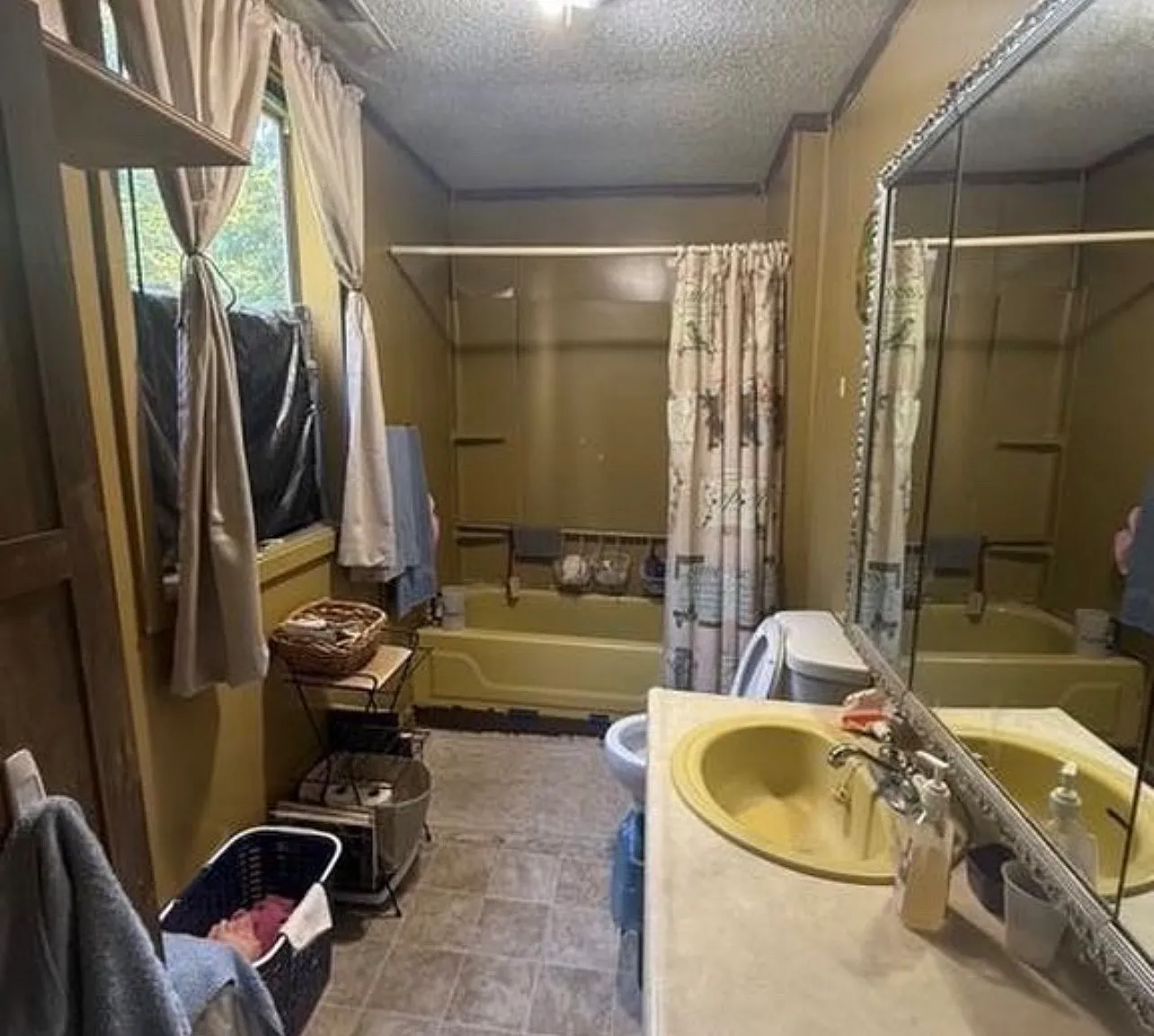 2 bed, 885 sqft, $700 — Photo 3