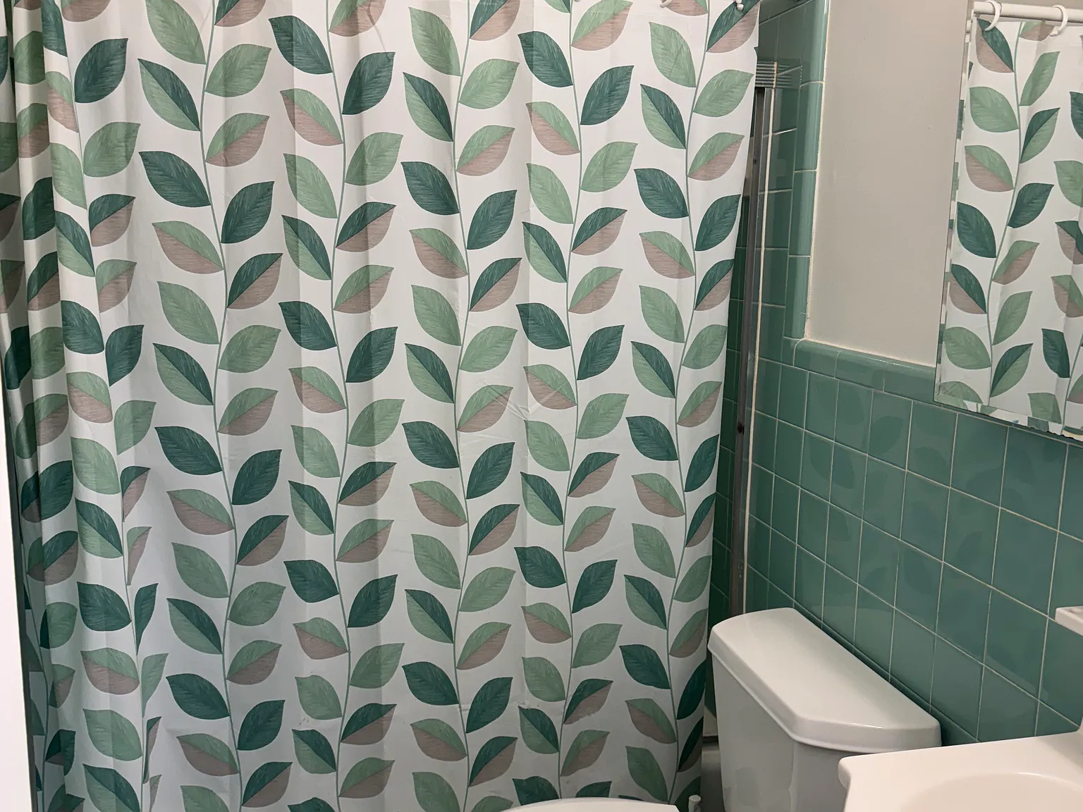 1 bed, 560 sqft, $1,250 — Photo 4