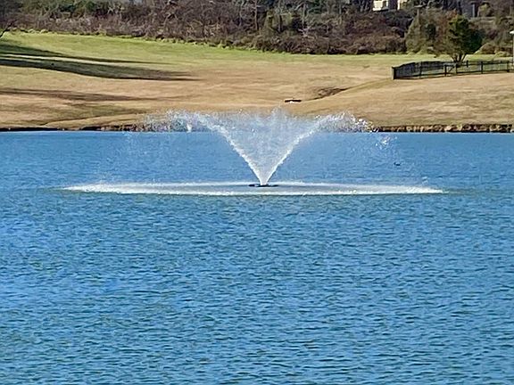 Unobstructed views of community pond!