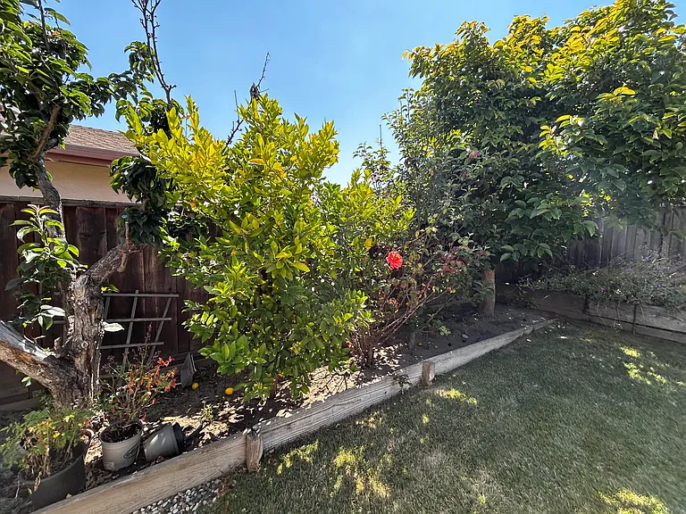 4752 Jaques Ct — Photo 18