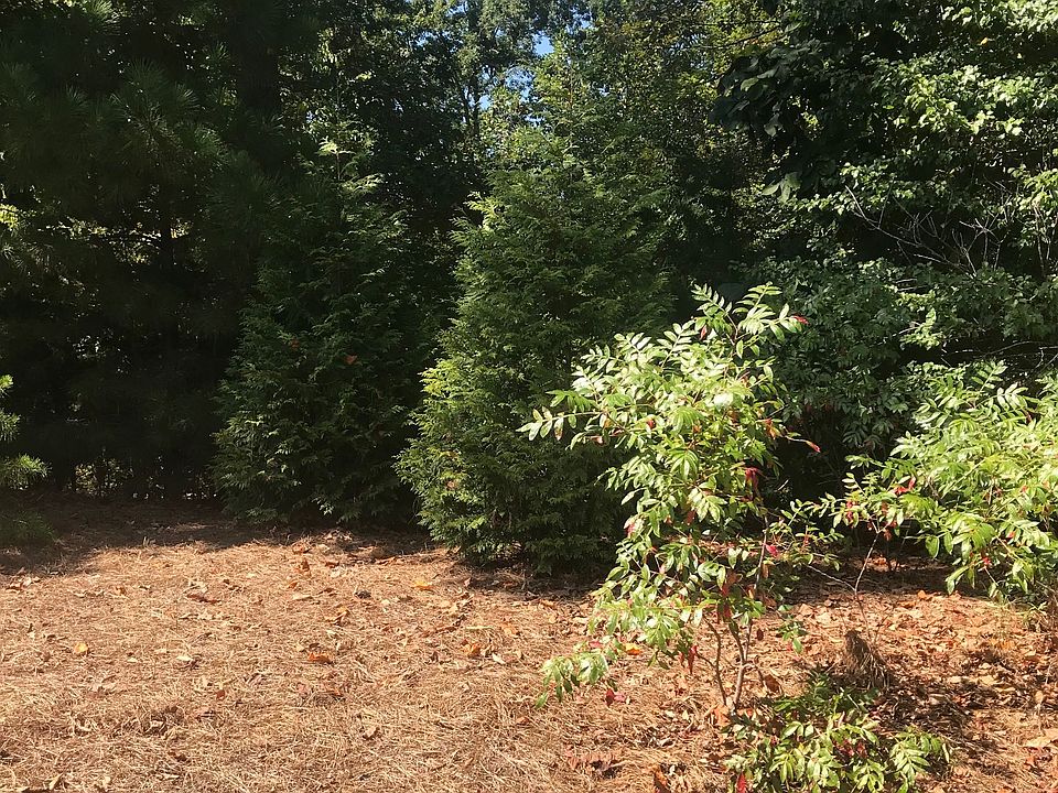 2nd image of 161 Willow Oak Ln