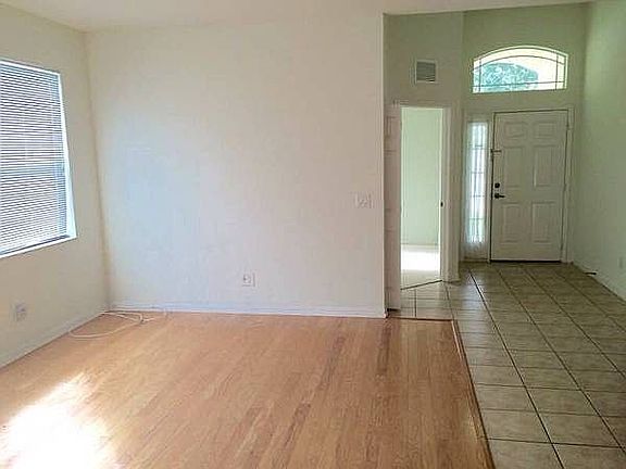 4th image of 13049 Terrace Springs Dr