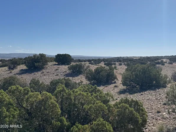 Lot 901 Woodland Valley Ranch -- #901, St Johns, AZ 85936