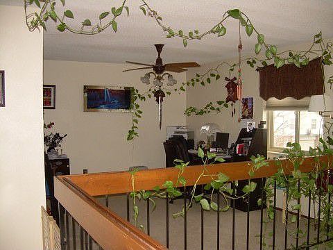 Open Loft Area