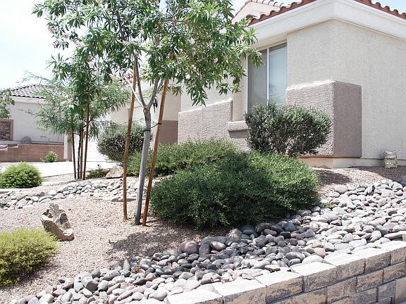 DESERT LANDSCAPING