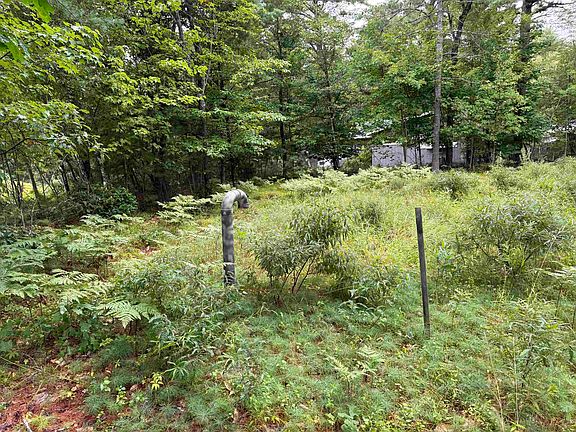 4th image of 00 Birchwood Farm Road #24