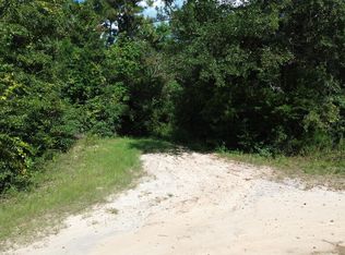 388 N Bass Dr, Wewahitchka, FL 32465