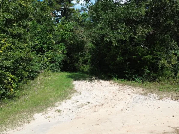 388 N Bass Dr, Wewahitchka, FL 32465