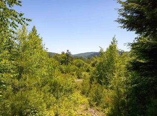 0 Riley Hill Rd, Stony Creek, NY 12878