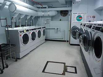 Rented by The Coop Connection LLC