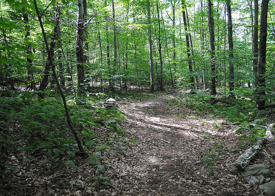 Nature Trail / ATV Trail