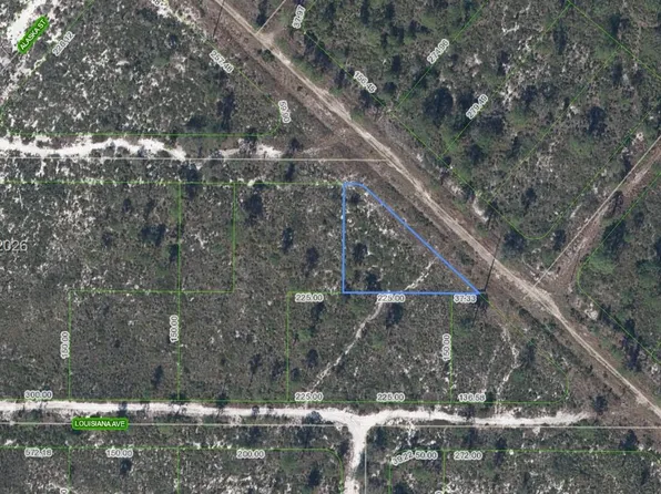 536 Nevada Ave, Lake Placid, FL 33852