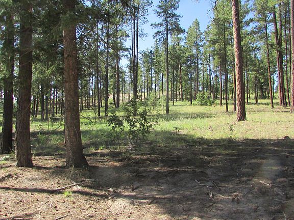 5th image of 8 County Road 2194