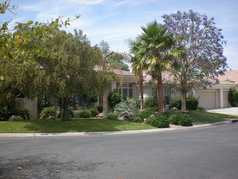 Your view of 49905 Althea en