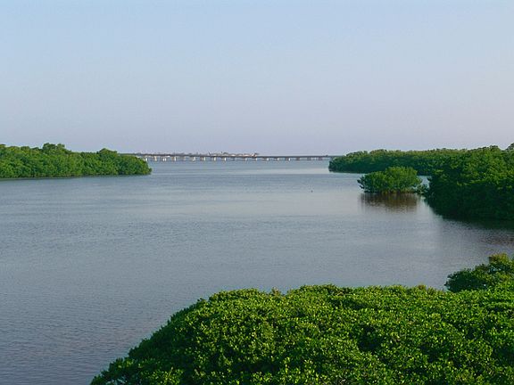 view of manatee br from lanai