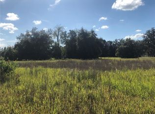 110 Greengrove Blvd, Clermont, FL 34714