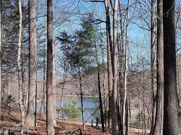 47 S Shorewood Ln, Caryville, TN 37714