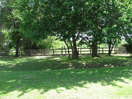 Mature trees