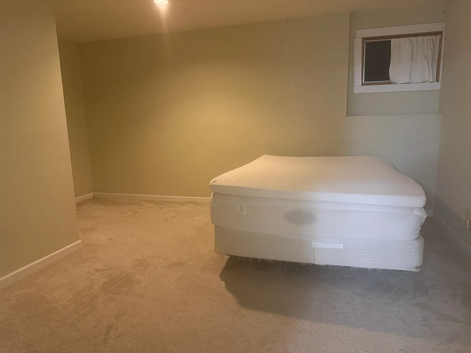 1 bed, 900 sqft, $1,150 — Photo 3