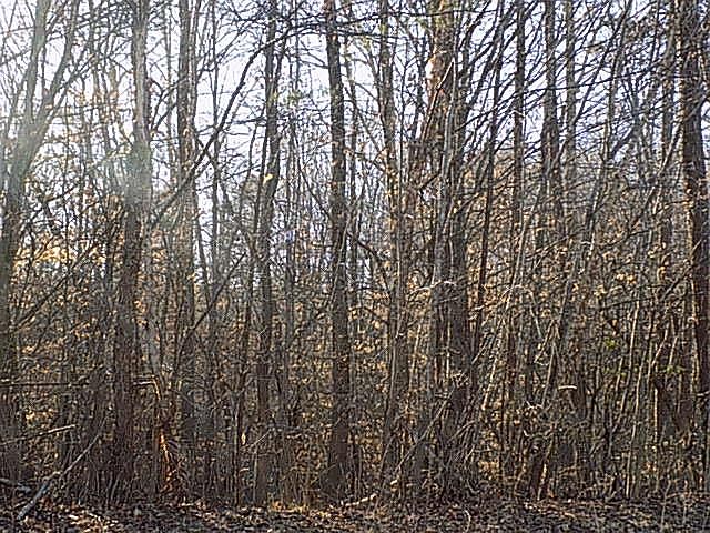 1st image of 9 Grandimere Dr