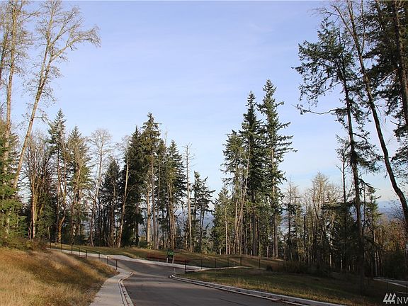 Paved Neighborhood Road and Sidewalk