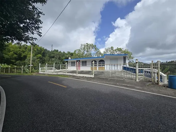 State Route 15 Km #20.4, Cayey, PR 00736
