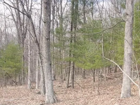 171 Station Hl #3, Henryville, PA 18332