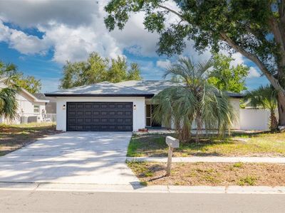2436 Beacon Groves Blvd, Palm Harbor, FL, 34683
