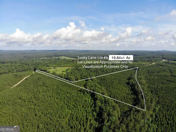 0 Lucky Ln Tract 3, Bowdon, GA 30108
