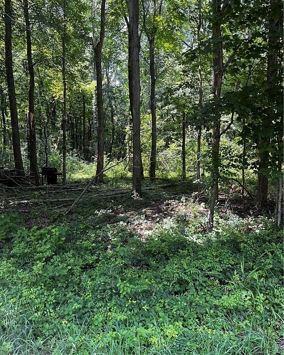 2nd image of V/L Paine Rd