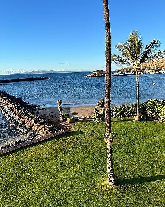 1st image of 50 Hauoli St APT 209